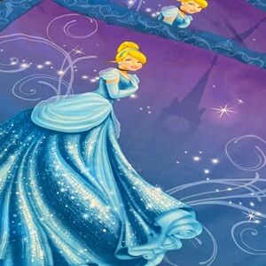 Disney Princess 2 standard pillow shams Cinderella